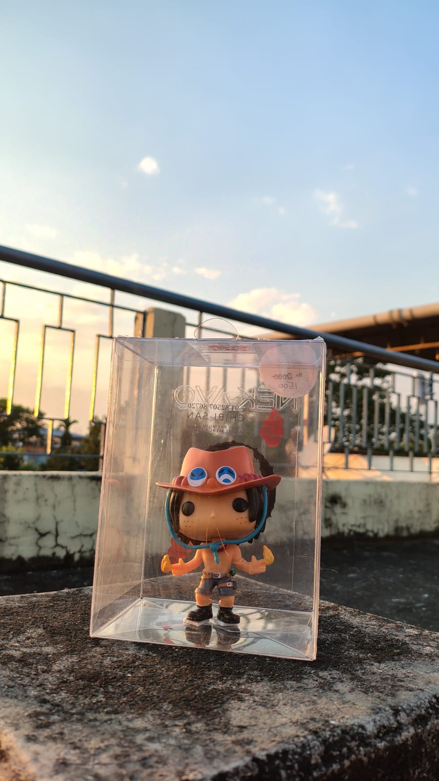 Ace One Piece Funko Pop | Out of Box(OOB) boxless #100