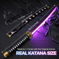Zoro Style Katana Shusui 104cm LED Light-Up Katana